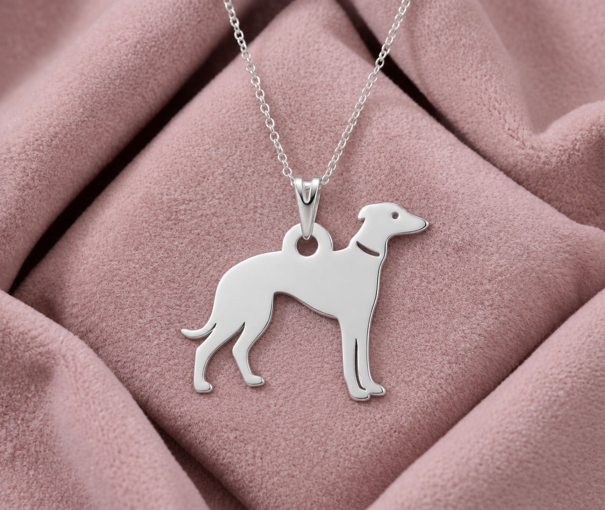 Galgo - foto 2