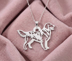 Golden retriever - foto 2