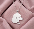 Caniche - foto 2
